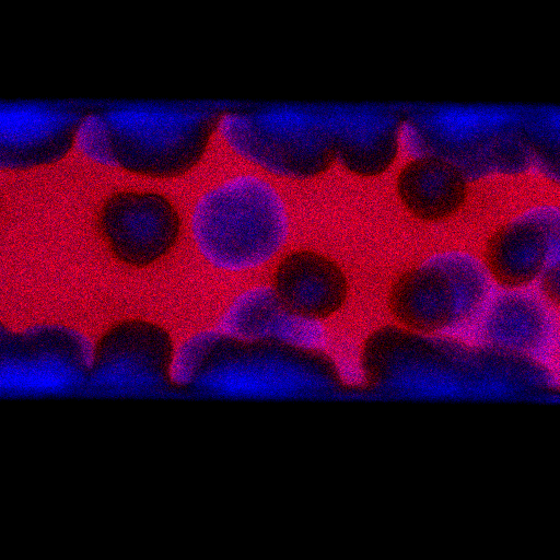 A spotlight on the dynamic living conditions in bacterial communities with fluorescent nanosensors