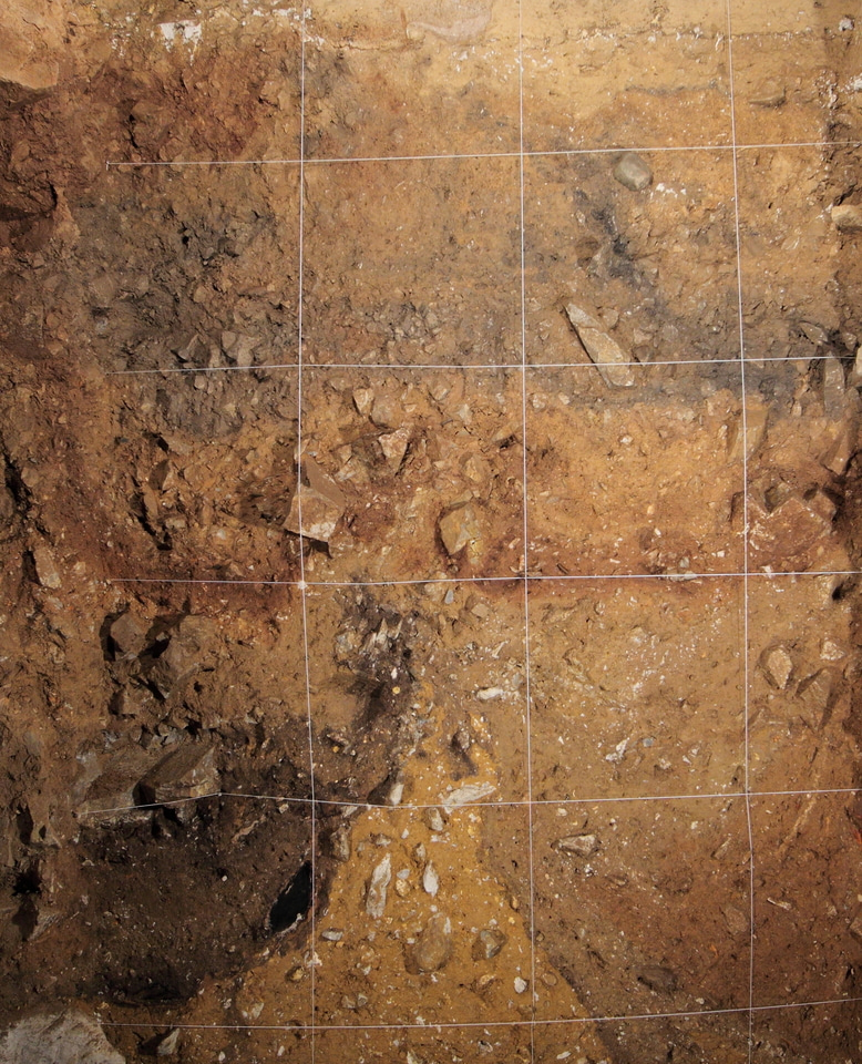 Dirt DNA: Sieving through history