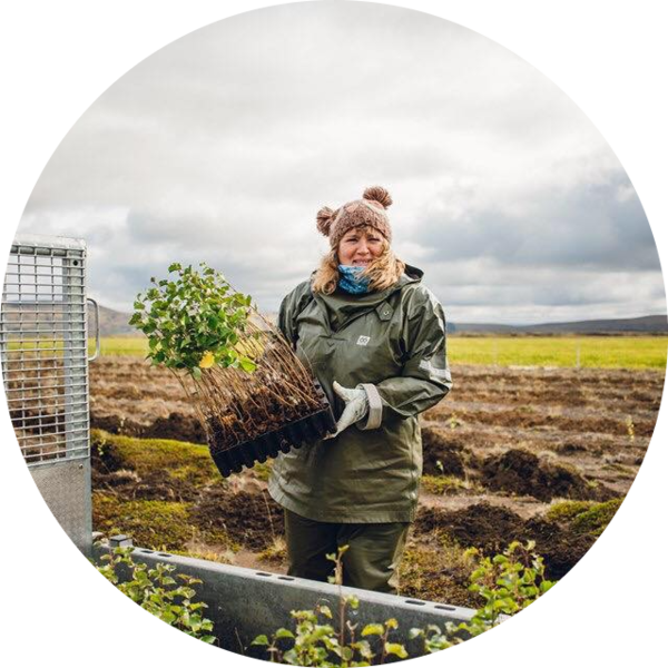 Go to the profile of Alex Wildman