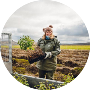 Go to the profile of Alex Wildman