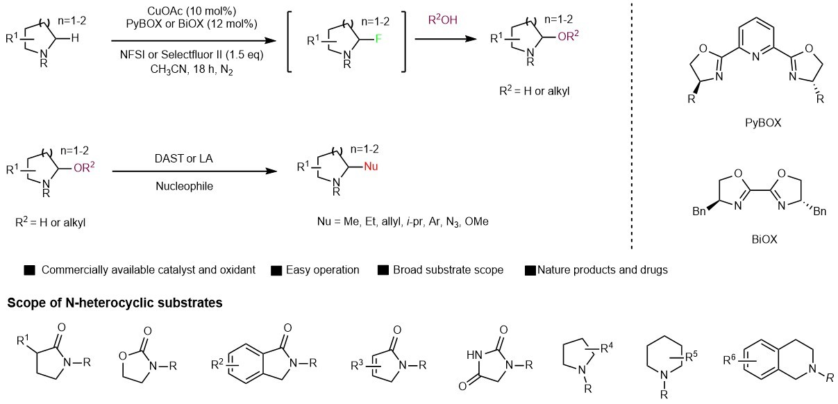 Copper catalyzed late-stage C(sp3)-H functionalization of nitrogen heterocycles