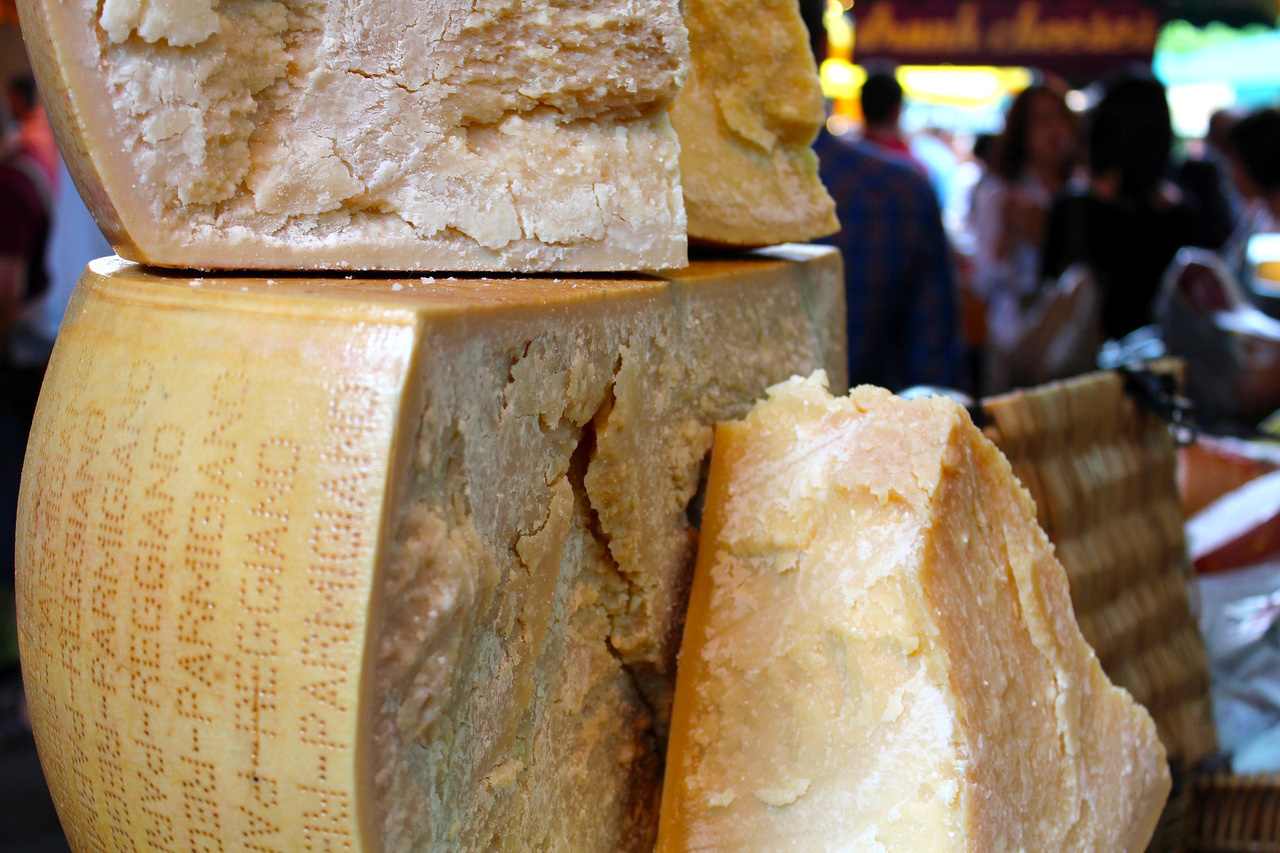 Colonization of the human gut by bovine bacteria present in Parmesan cheese