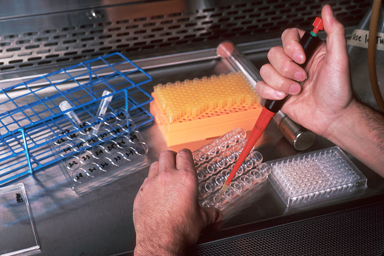 Editor’s Choice – Highlighted Articles of the year