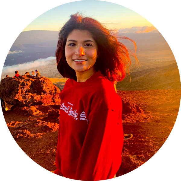 Go to the profile of Kristen DSouza