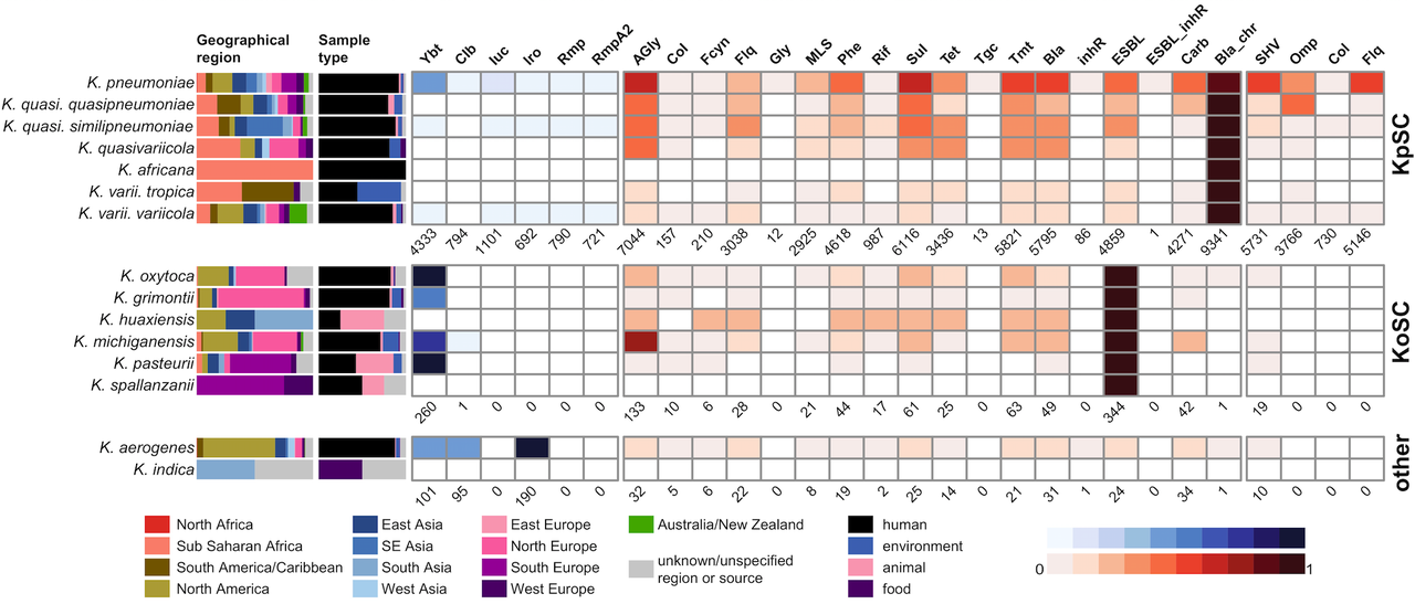 Alright stop, Kleborate and listen