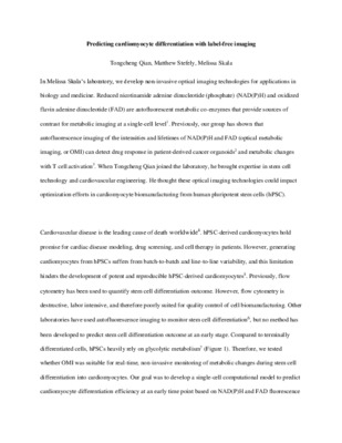 Predicting cardiomyocyte differentiation with label-free imaging technology