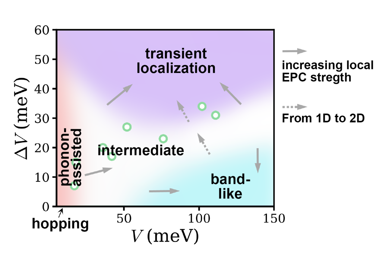 A general charge transport picture for organic semiconductors revealed by time dependent density matrix renormalization group