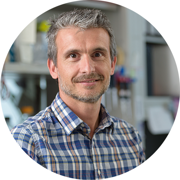 Go to the profile of Fabio Vanoli