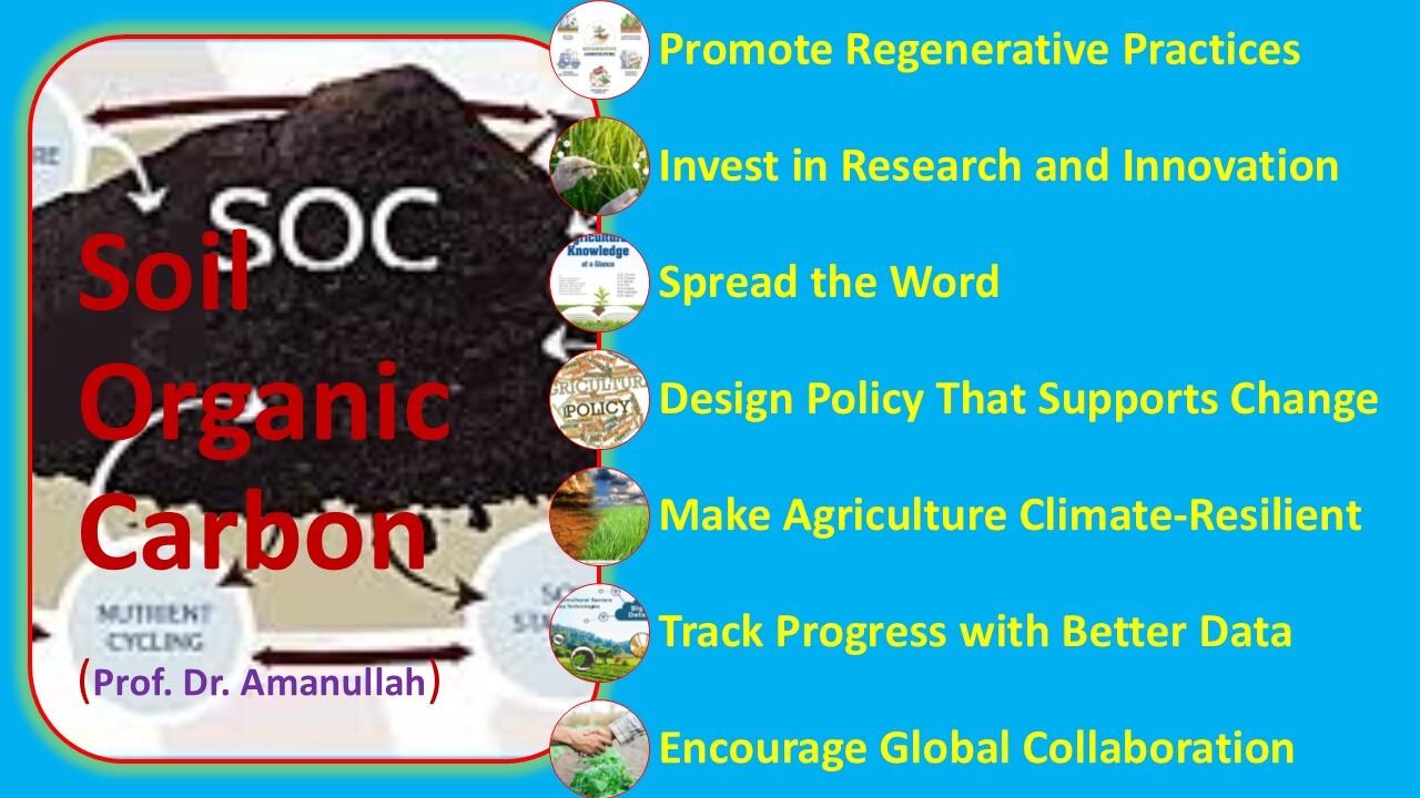 Enriching Soil Organic Carbon for Sustainable Agriculture, Food Security, and Health