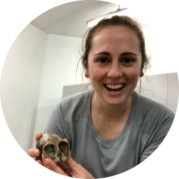 Go to the profile of Rachel Lupien