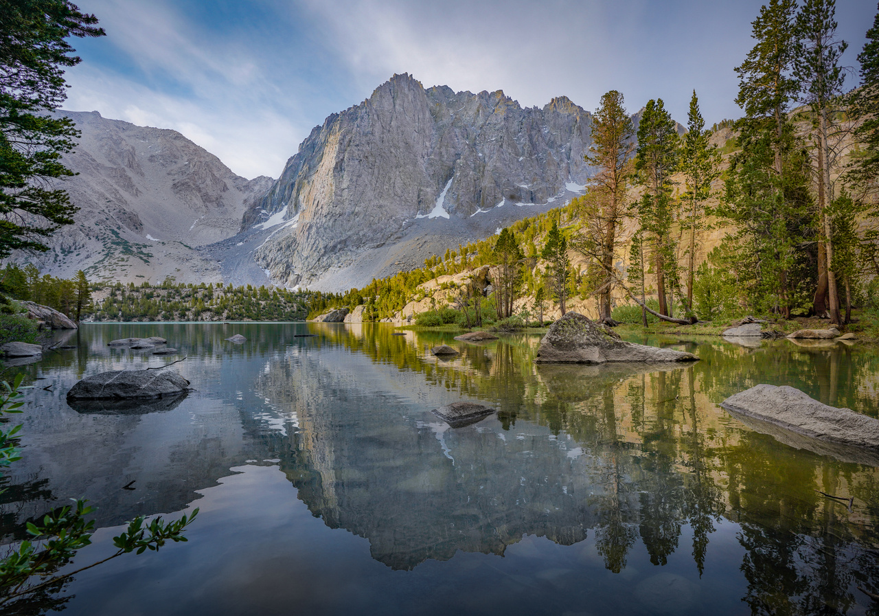 Deadly spread of tree disease driven by climate change