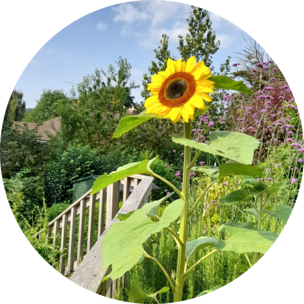 Go to the profile of Paul Dishman