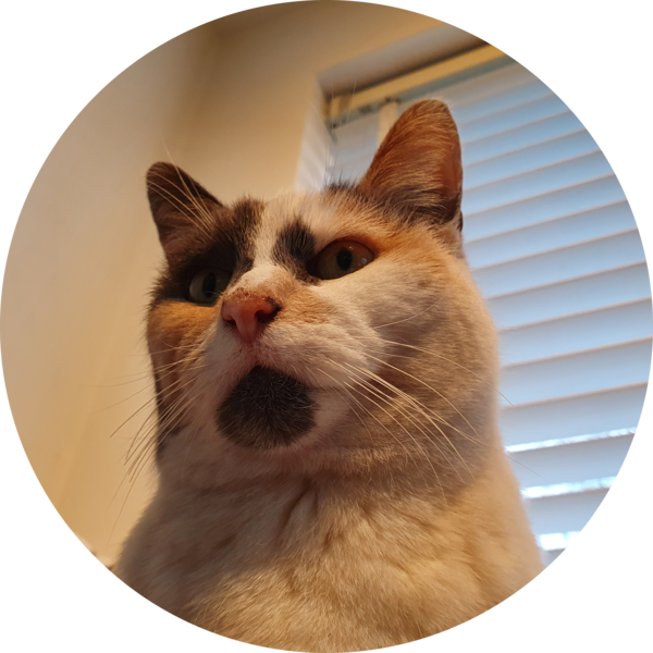 Go to the profile of Jason naylor