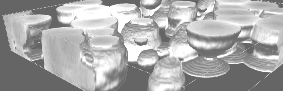 Polymer Morphology in 3D