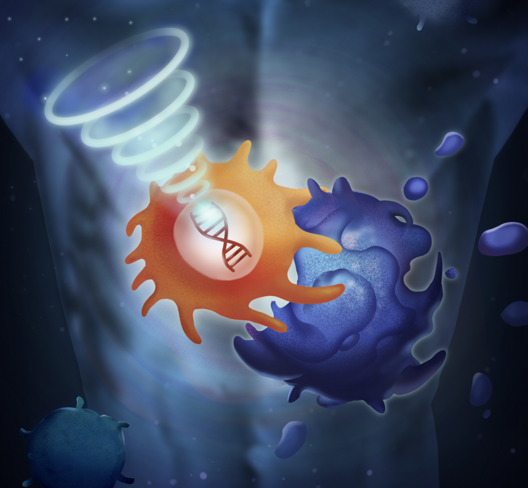 Remote controllable T cell therapy using focused ultrasound