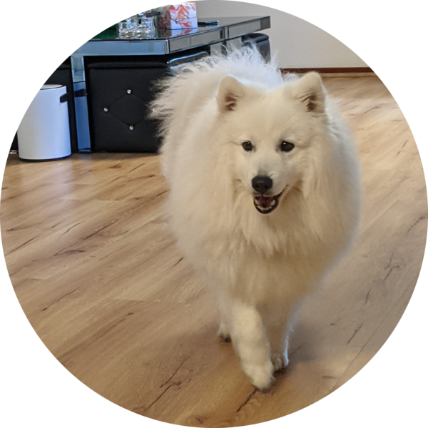 Go to the profile of Fred Wang