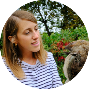 Go to the profile of Grace Johnson