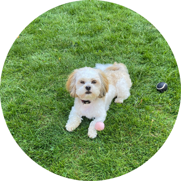 Go to the profile of Sarah  Gatherer