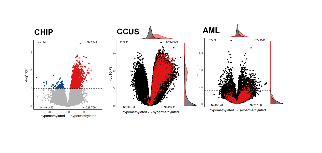 TET2-associated hypermethylation: A new co-driver of leukemogenesis?