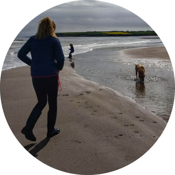 Go to the profile of Jill Stewart