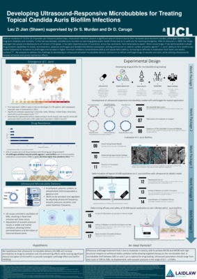 Developing Ultrasound-Responsive Microbubble for Treating Topical C. Auris Biofilm Infections