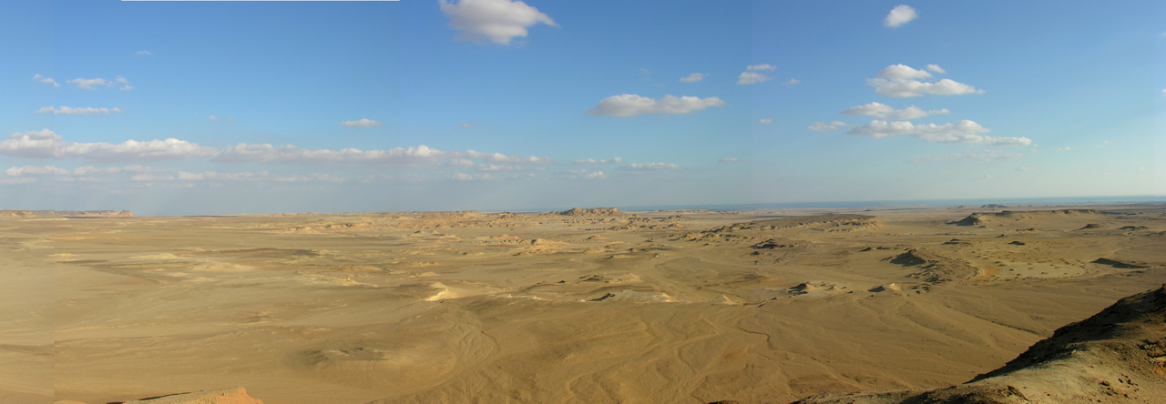 Using phylogenies to detect a major extinction event in the Oligocene of Africa