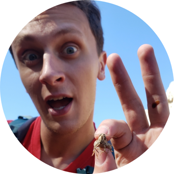 Go to the profile of Orion Goodman