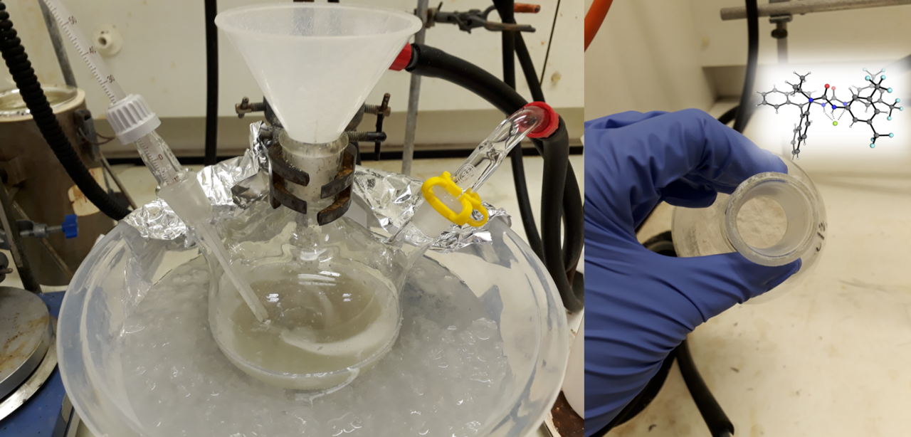 Let’s go big! Large scale synthesis of HB-PTC catalysts