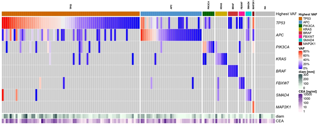 Circulating tumor DNA: re-defining the tumor burden