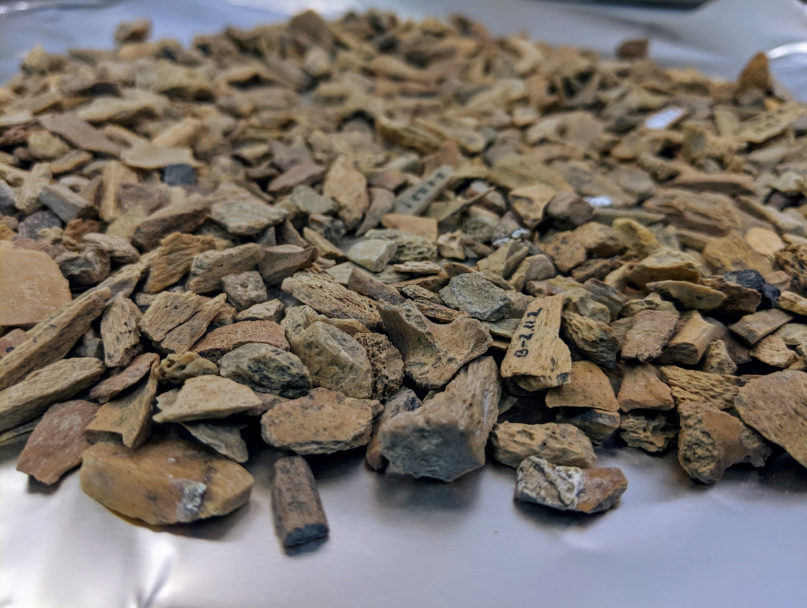 How many bone fragments does it take to find a hominin?