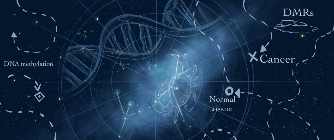 A quest to chart DNA methylation changes in cancer