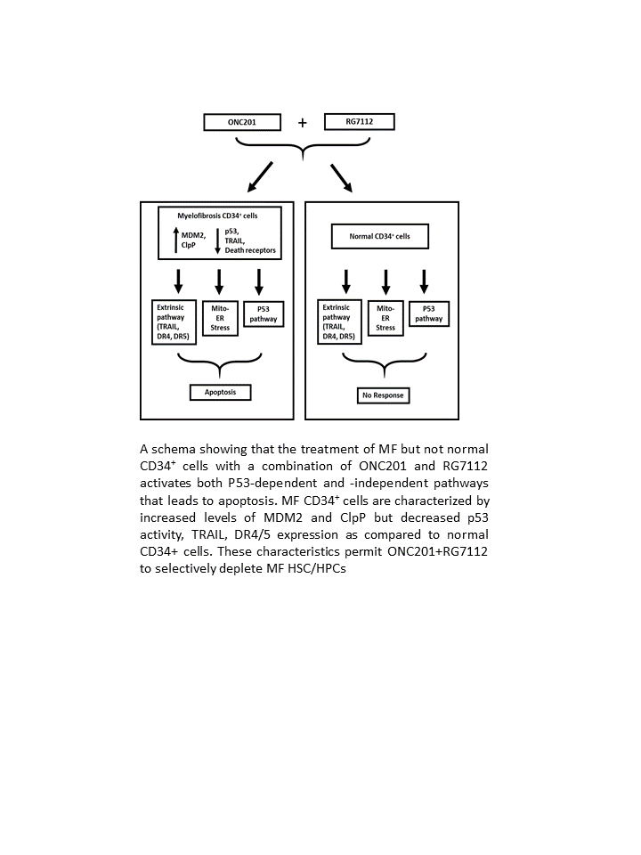 Combined Drug Targeting of p53-dependent and -independent Pathways Depletes Myelofibrosis Hematopoietic Stem/Progenitor Cells 