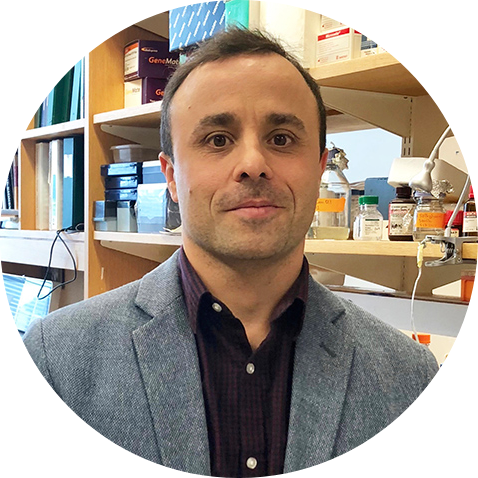 Go to the profile of Dario Lemos