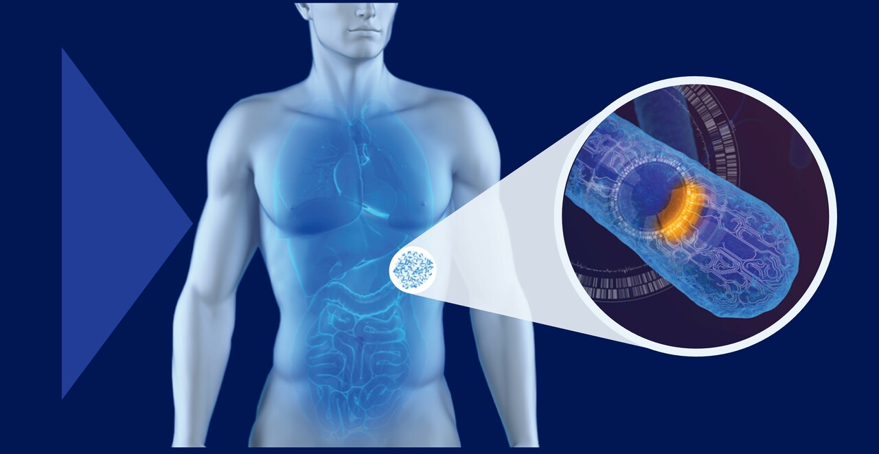 Improvement of a synthetic live bacterial therapeutic for phenylketonuria with biosensor-enabled enzyme engineering