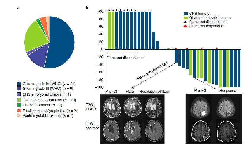 Harnessing the Power of a Global Rare Disease Registry; Behind the Paper “Genomic Predictors of Response to PD-1 Inhibition in Children with Germline DNA Replication Repair Deficiency”.