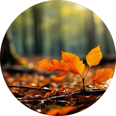 Go to the profile of Kate