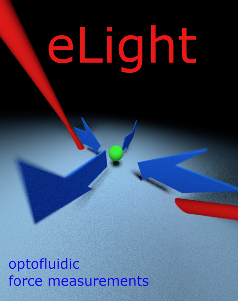 Optofluidic contactless particle trap enables  highly sensitive force measurements