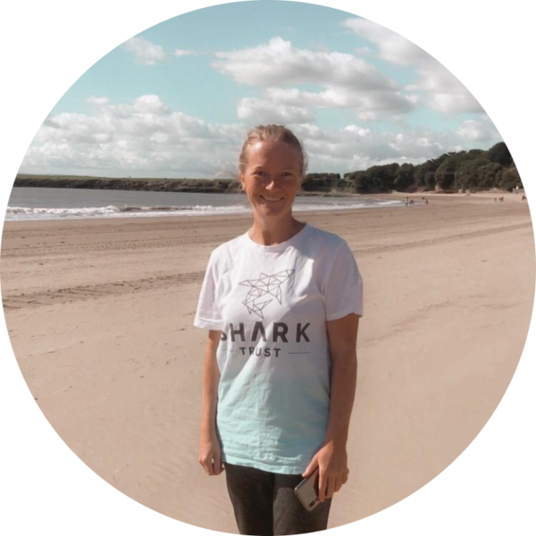 Go to the profile of Kayleigh Williams