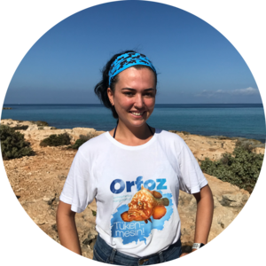 Go to the profile of Funda Kok