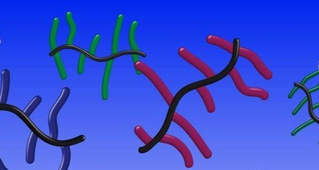 Sweet and sticky: glycopolymer bottlebrushes composed entirely of sugars and amino acids