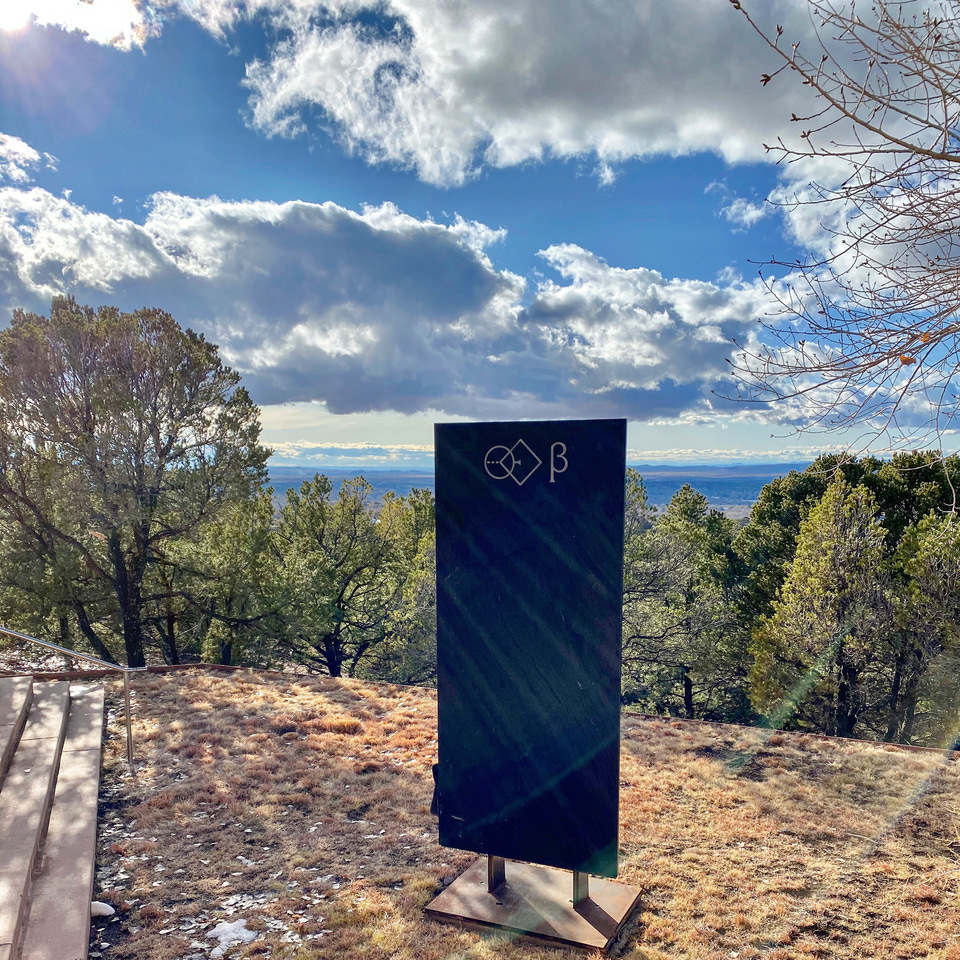 Evolutionary novelty addressed in protein-protein interaction networks