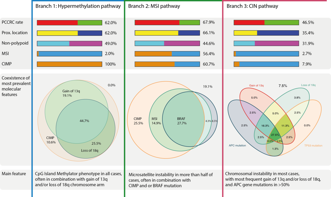 Post-colonoscopy colorectal cancers harbour similar molecular profiles as all other colorectal cancers
