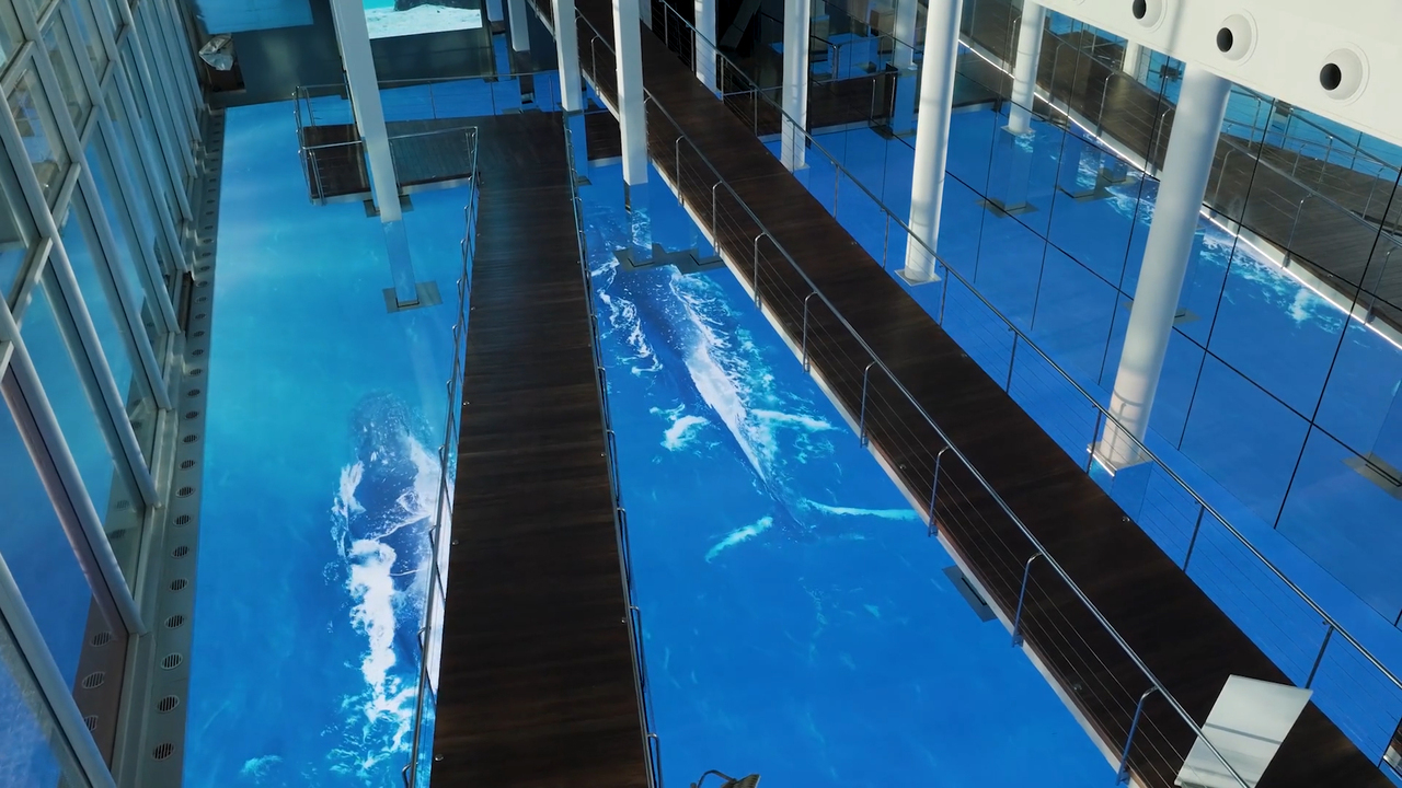 Barcelona's Aquarium has one of the biggest LED floors in the world!