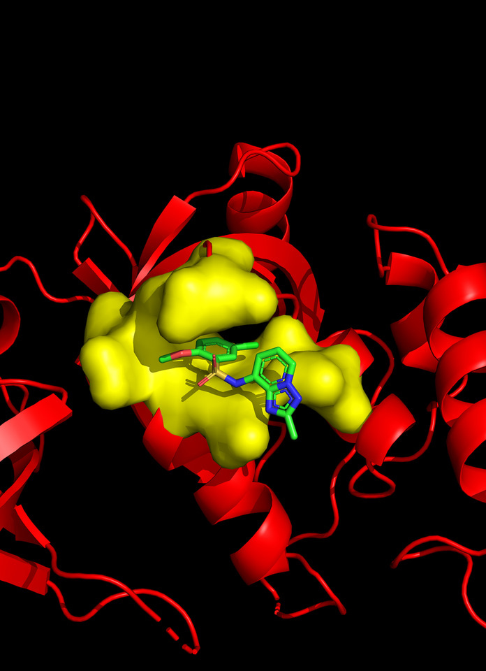 Targeting cancer fitness gene MTDH in metastatic cancers