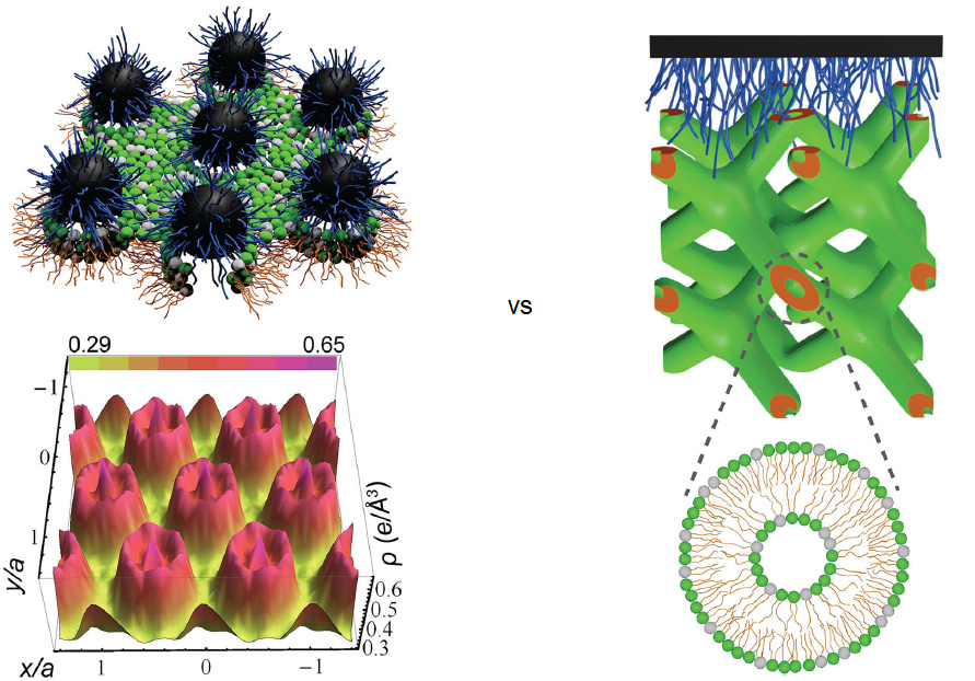 Hydrophilic Nanoparticles Reveal the Antibiotic Role of Nanostructures