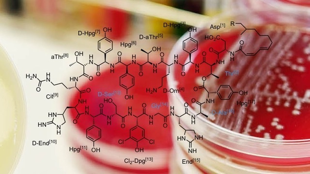 Gene editing enables rapid engineering of complex antibiotic assembly lines