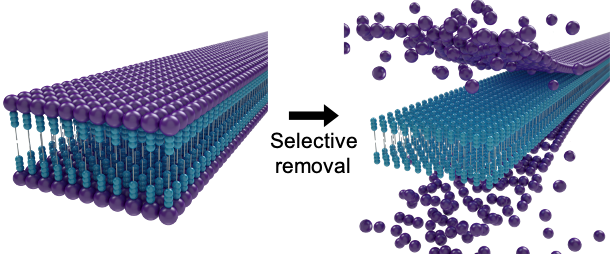 Domain-selective thermal decomposition within supramolecular nanoribbons