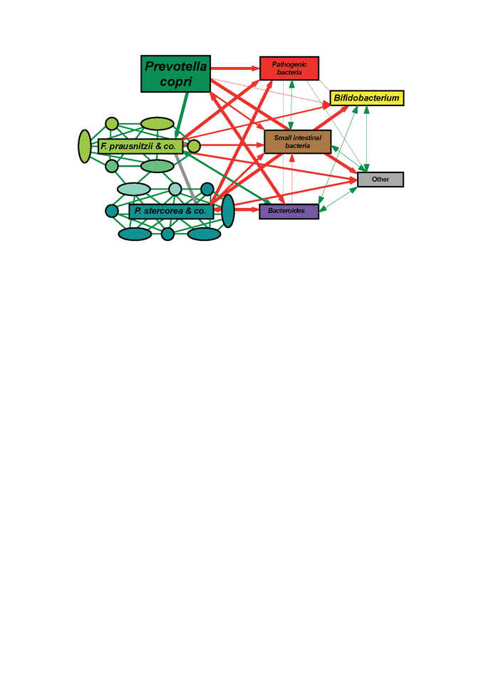 Western poverty & African richness