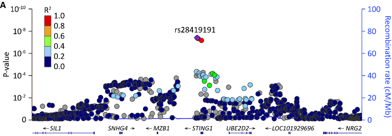 A Radiogenomics GWAS in Head-and Neck Cancer