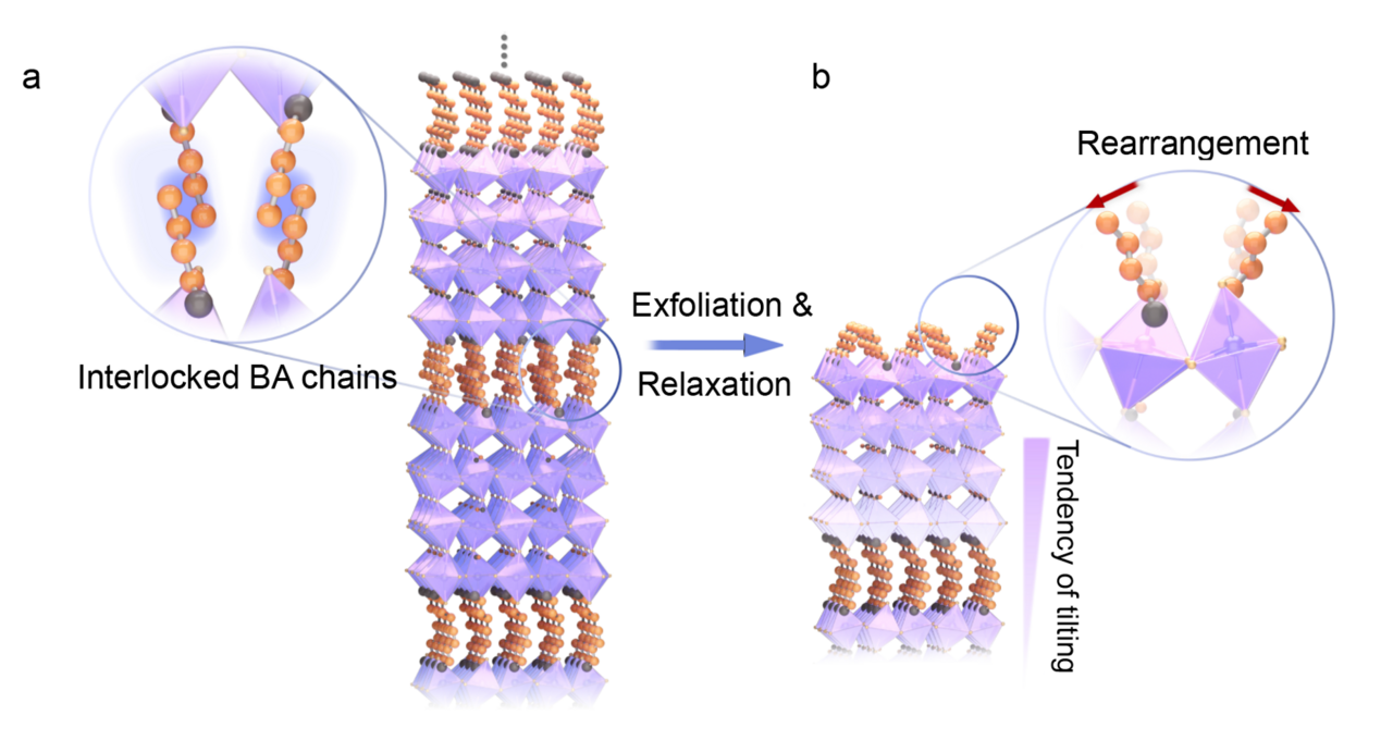 Unlocking surface octahedral tilt in two-dimensional Ruddlesden-Popper perovskites